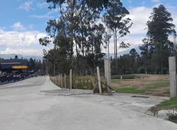 Pifo Arriendo Terreno de 40.000 en Oyambaro — imagen 3