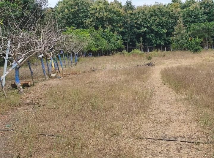 Terreno en alquiler en Guayaquil, Guayas