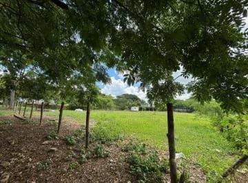 Terreno en Alquiler – Vía a La Costa Km 22, Lotización Tiffany 1, Guayas — imagen 2
