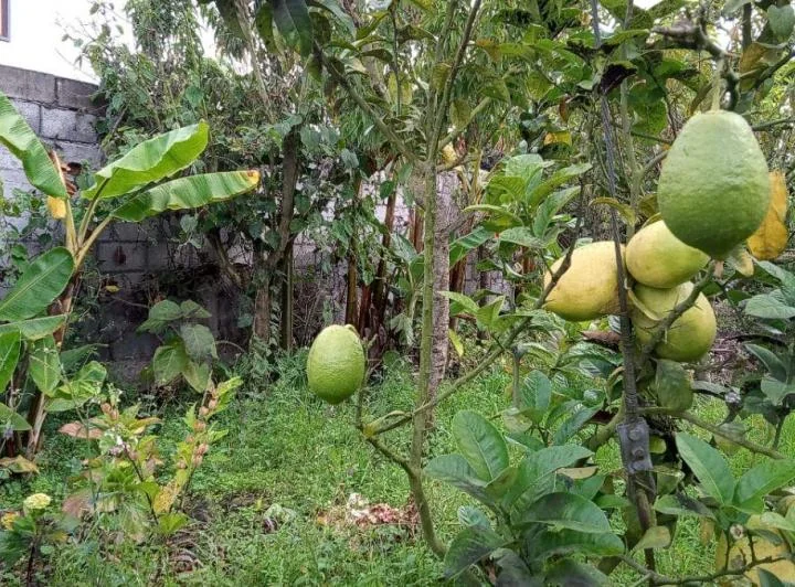 Terreno en venta en San Pedro de Pelileo, Tungurahua