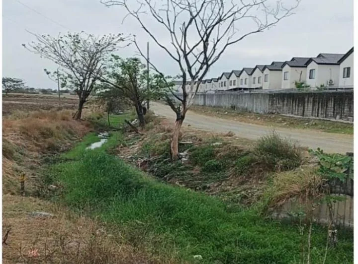 Terreno en venta en Daule, Guayas
