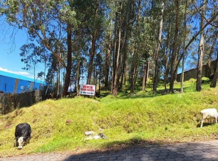 Terreno en venta en Quito, Pichincha
