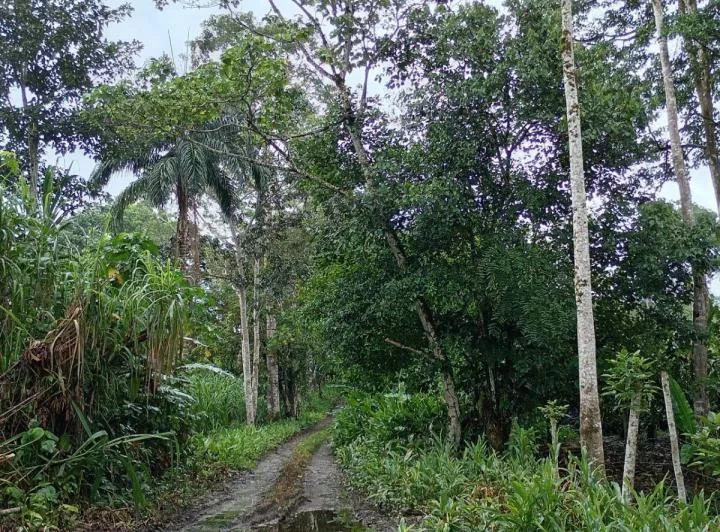 Terreno en venta en Tena, Napo