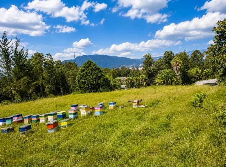 Terreno en venta en Quito, Pichincha