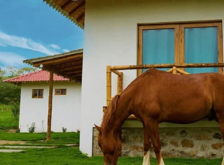 Terreno en venta en Santa Elena, Santa Elena