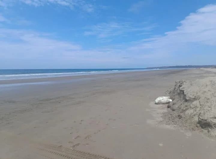 Terreno en venta en Santa Elena, Santa Elena