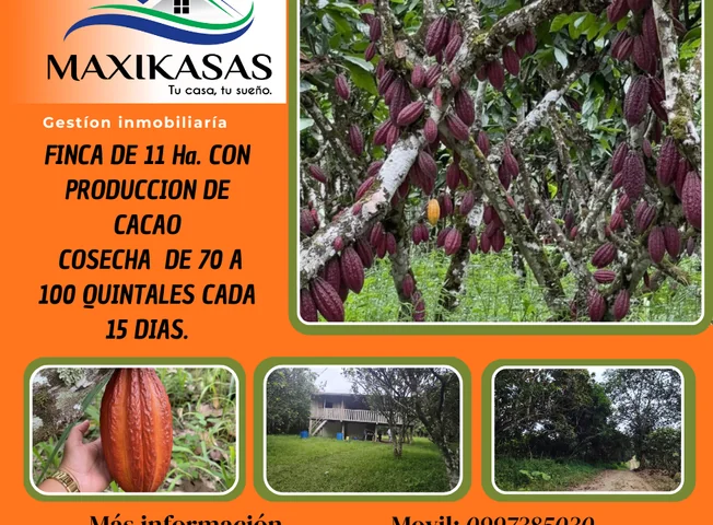 Terreno en venta en Quininde, Esmeraldas