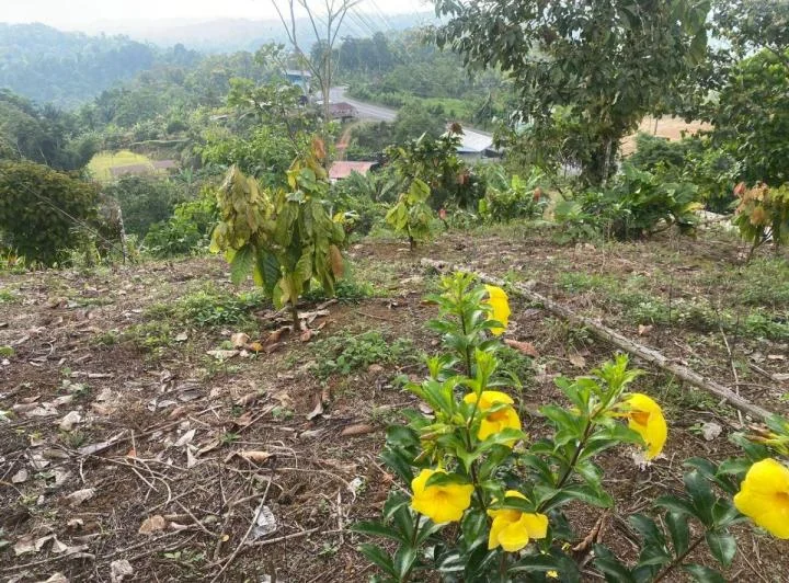 Terreno en venta en Puerto Quito, Pichincha