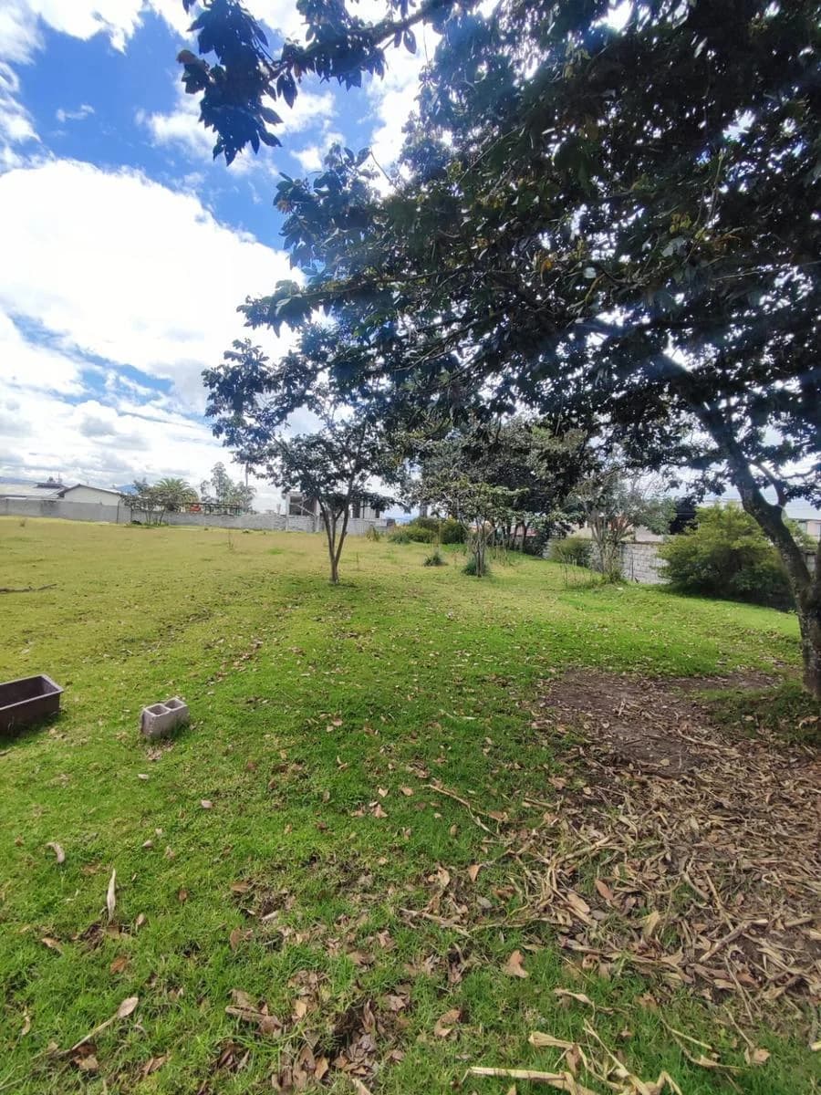 Venta | Renta Lote Estratégico | 4.811 m² | Rumiloma – Amaguaña | Cerca Agapanthus Plaza — imagen 4