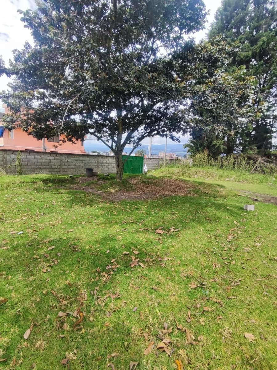 Venta | Renta Lote Estratégico | 4.811 m² | Rumiloma – Amaguaña | Cerca Agapanthus Plaza — imagen 3