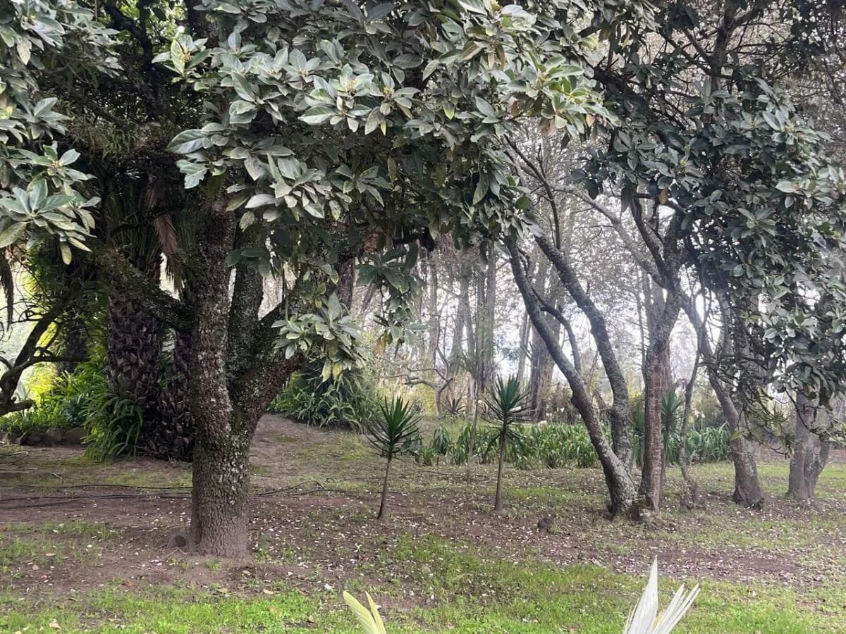 Venta de Terreno en Guayllabamba 5000 m - Santa Mónica — imagen 4