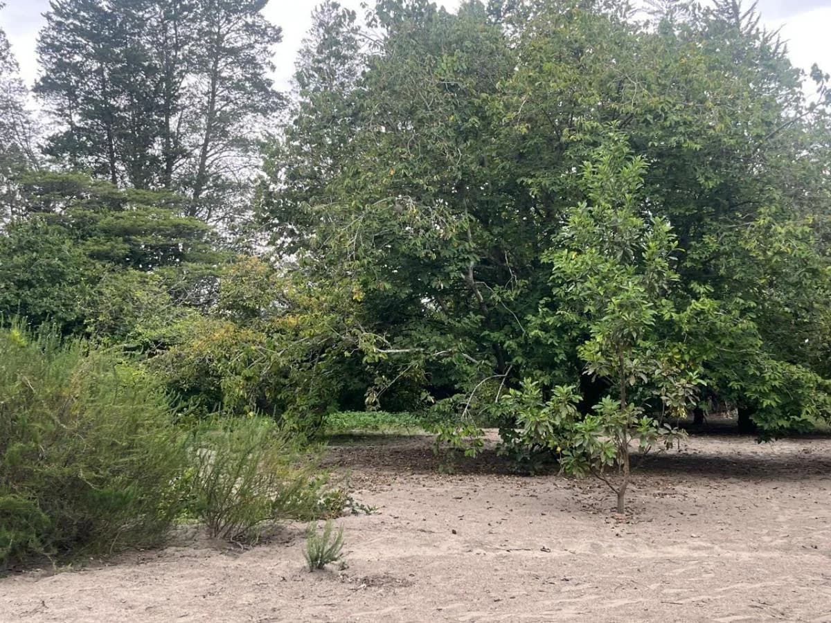 Venta de Terreno en Guayllabamba 5000 m - Santa Mónica — imagen 3