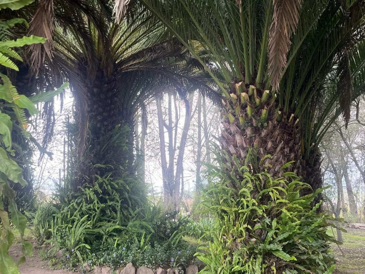 Venta de Terreno en Guayllabamba 5000 m - Santa Mónica — imagen 2