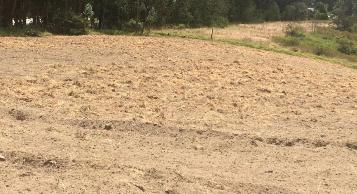 Venta Terreno Tababela Proyectos Lotizar Empresas Conjuntos Agricola Oportunidad — imagen 4
