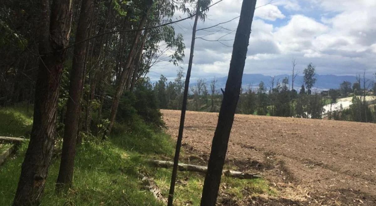 Venta Terreno Tababela Proyectos Lotizar Empresas Conjuntos Agricola Oportunidad — imagen 2
