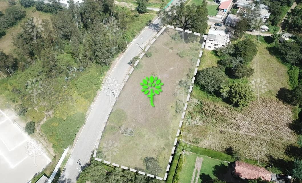 Terreno de Venta en Nayón 3.999 m² Independiente — imagen 3