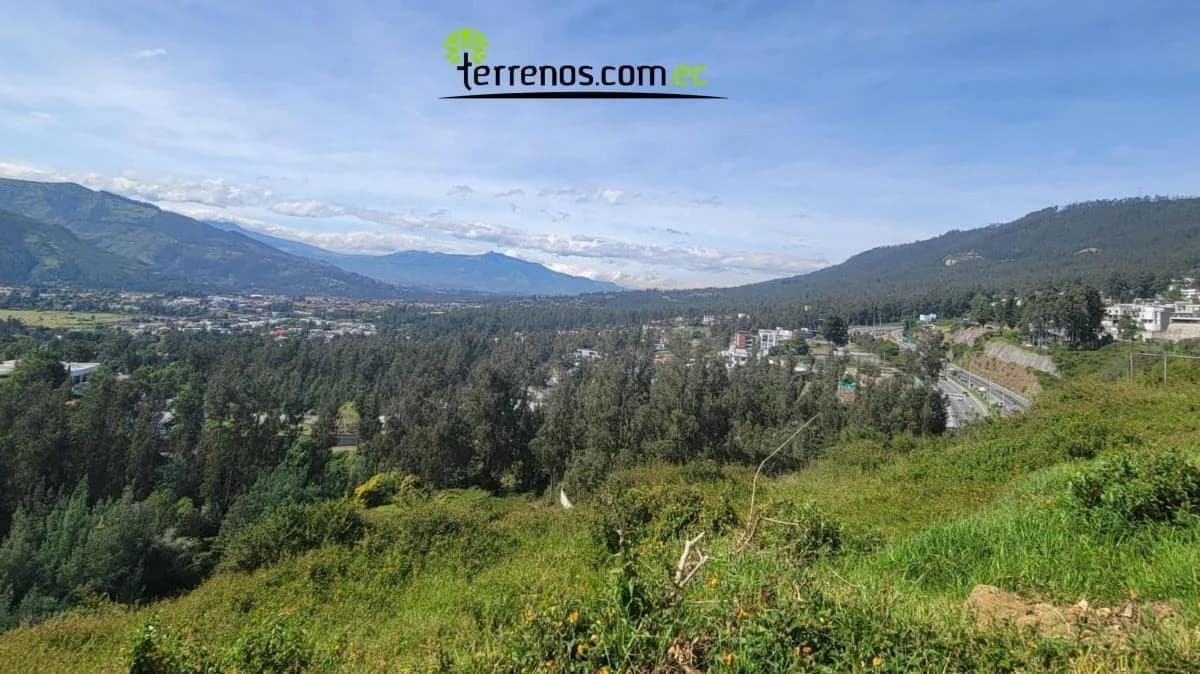Terreno Venta Varias Vivienda Cumbaya 1267 m² Urbanización Proyecto Inmobiliario — imagen 5