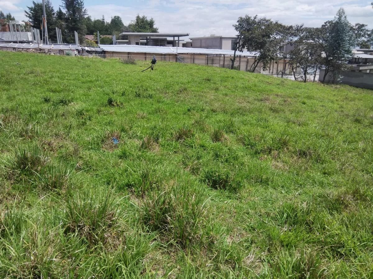 Venta Terreno en Cumbaya — imagen 4