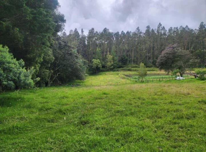 Bajo de Precio! Vendo Bonito Terreno 5.000 m Suelo Rural con Agua de Riego yaruqui — imagen 1