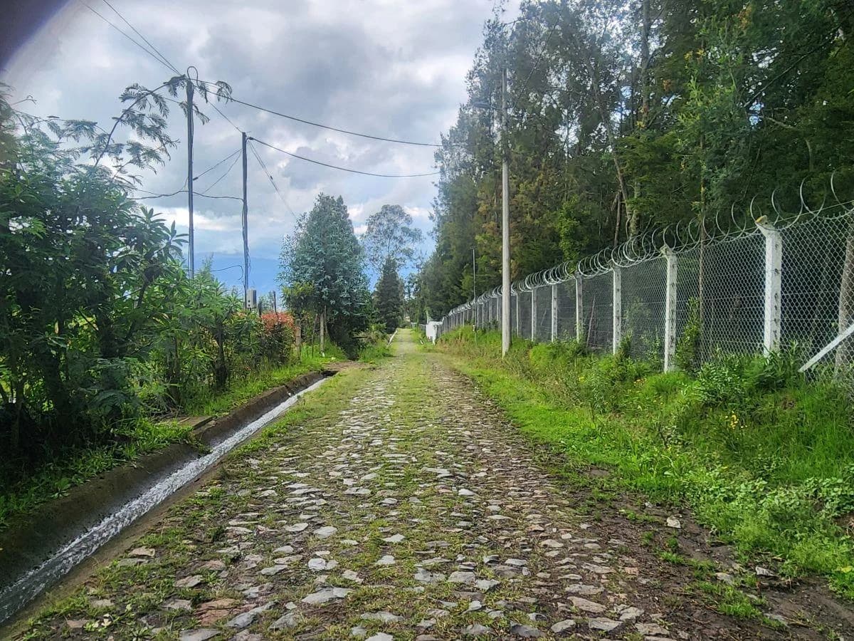 Bajo de Precio! Vendo Bonito Terreno 5.000 m Suelo Rural con Agua de Riego yaruqui — imagen 5