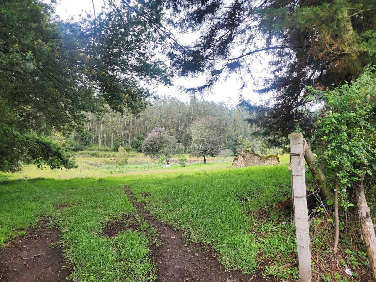 Bajo de Precio! Vendo Bonito Terreno 5.000 m Suelo Rural con Agua de Riego yaruqui — imagen 4