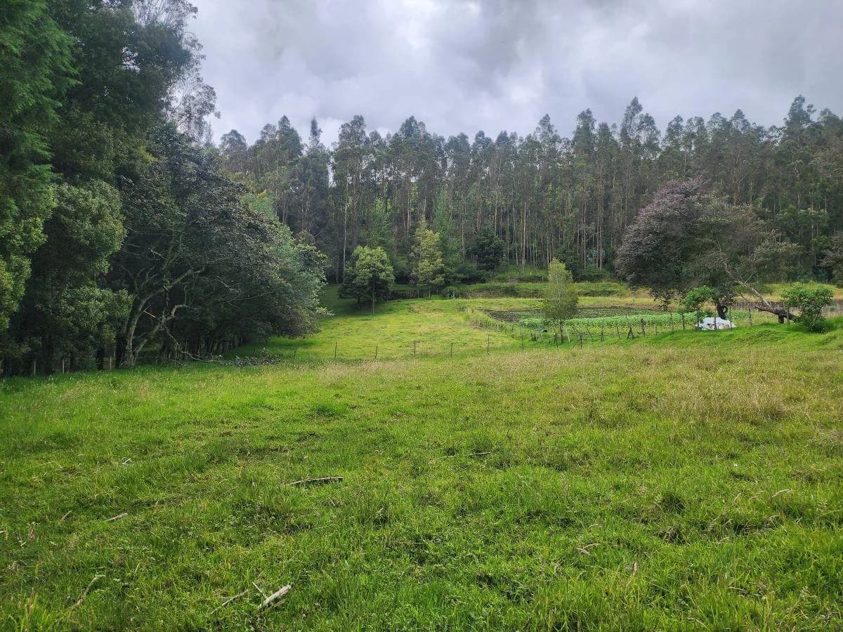 Bajo de Precio! Vendo Bonito Terreno 5.000 m Suelo Rural con Agua de Riego yaruqui — imagen 3