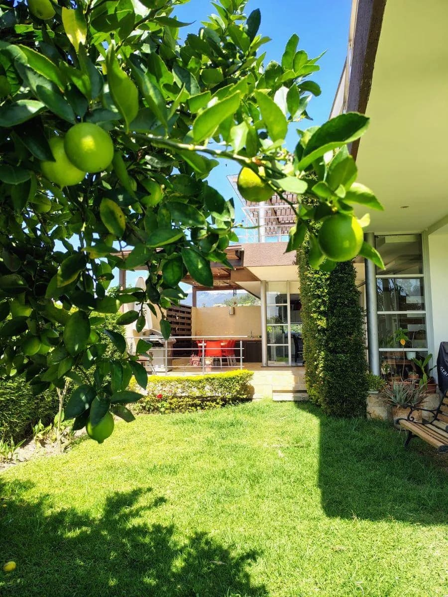 Casa de Venta en Tanda 4 Dorm. y Amplio Jardin $519.000 — imagen 5