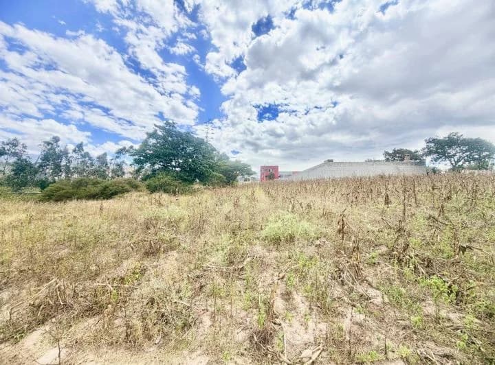 Se Vende Terreno en Llano Grande — imagen 1