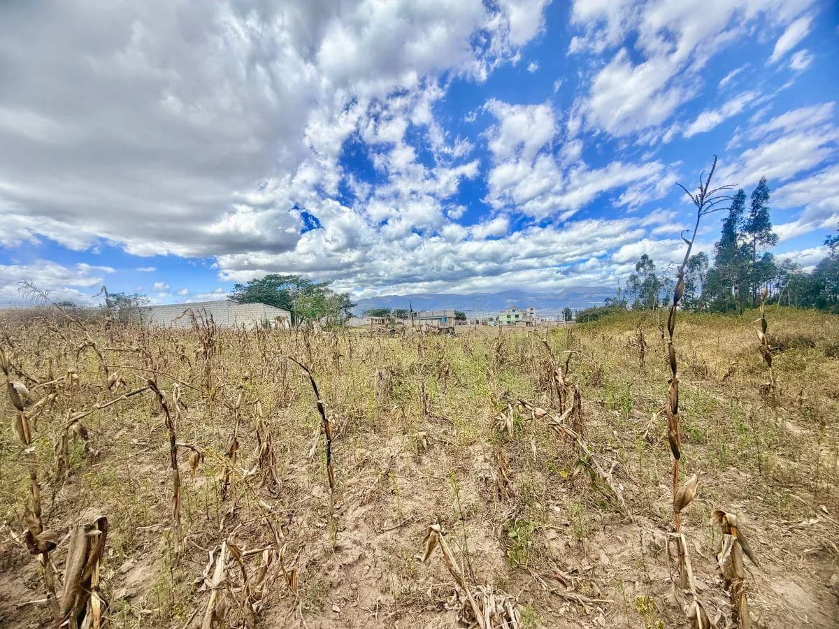 Se Vende Terreno en Llano Grande — imagen 5