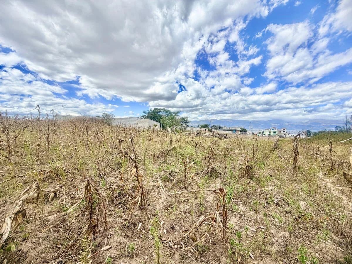 Se Vende Terreno en Llano Grande — imagen 4