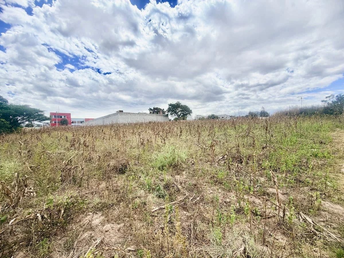 Se Vende Terreno en Llano Grande — imagen 3