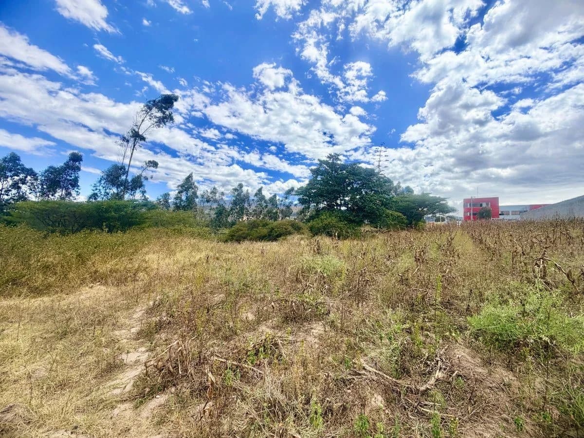 Se Vende Terreno en Llano Grande — imagen 2