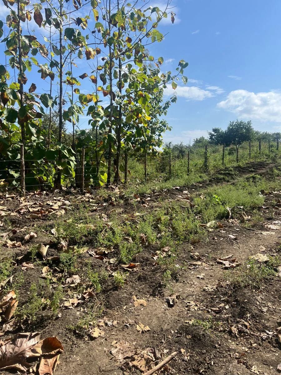 Venta 92.417,16 m² Vía a La Costa Km 22 Al Pie de La Vía en El Sentido Guayaquil - Salinas. Guayas — imagen 4