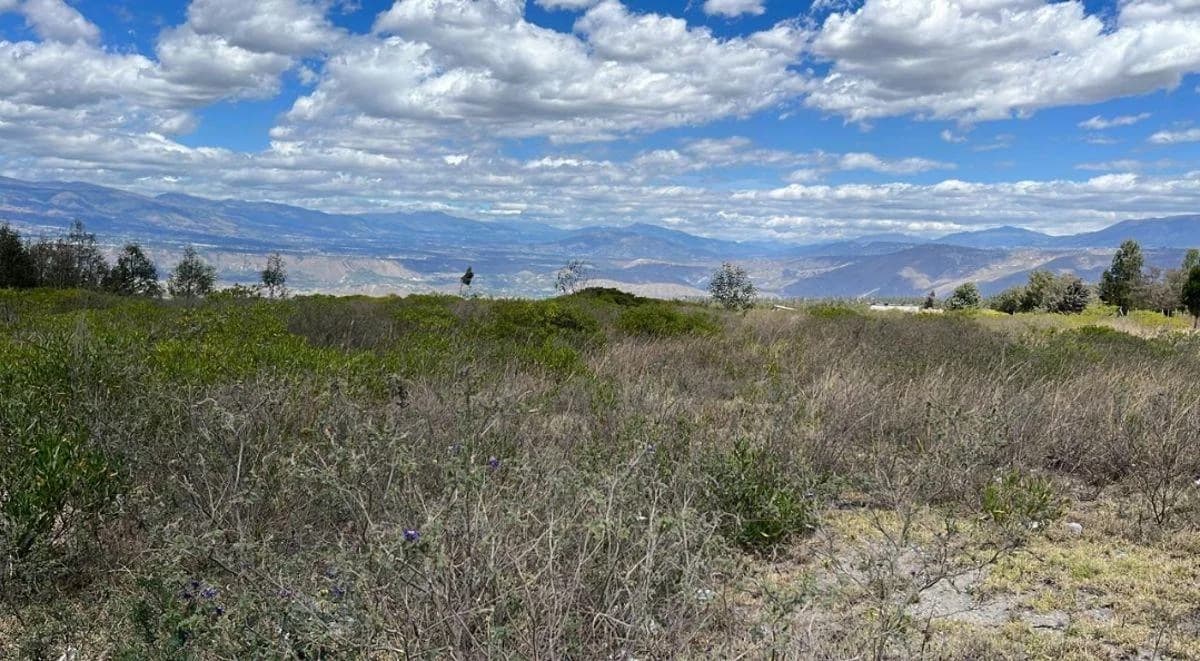 Terreno de 20645 m² en Venta en Malchinguí — imagen 2