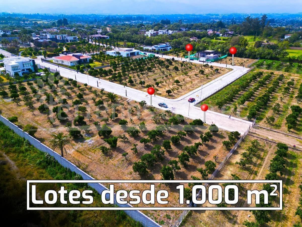 Terrenos de Venta en Tumbaco 1.000 m², Urb. La Lombardia — imagen 5