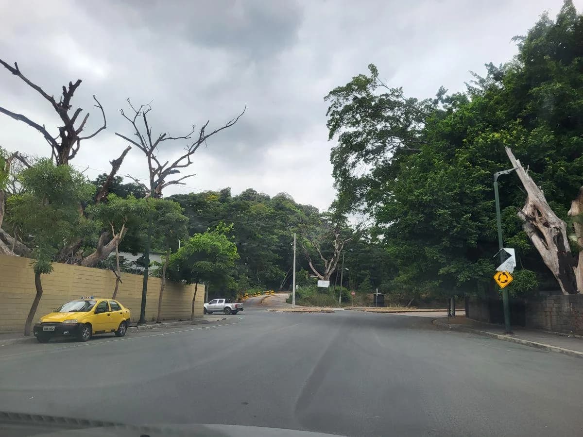 Terreno + Galpones + Oficinas + Casa Guardián en Venta Km 1 Vía a La Costa - Mae. Recalde, Guayas — imagen 2
