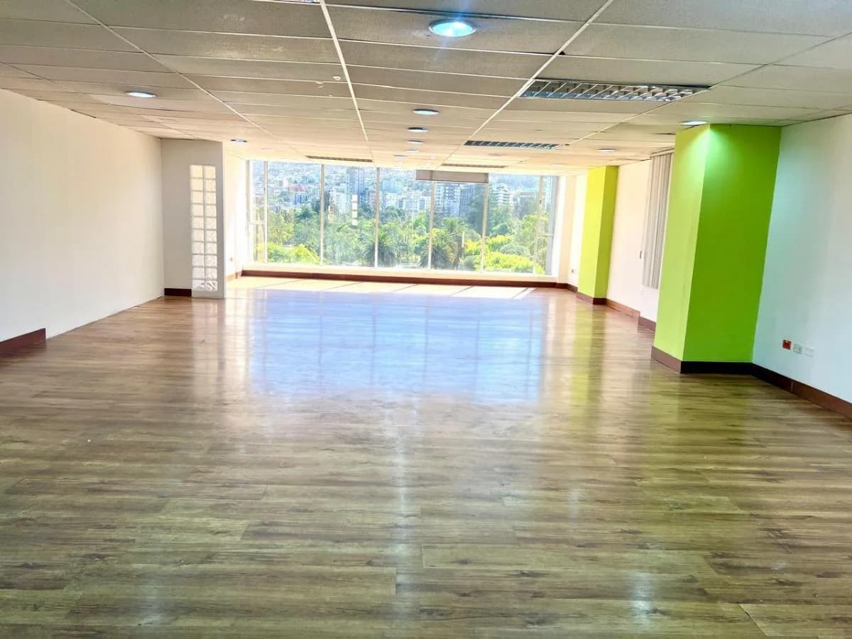 Mv - Sector La Carolina en Venta y Renta Oficina 216,44 m² con Vista Al Parque La Carolina — imagen 4
