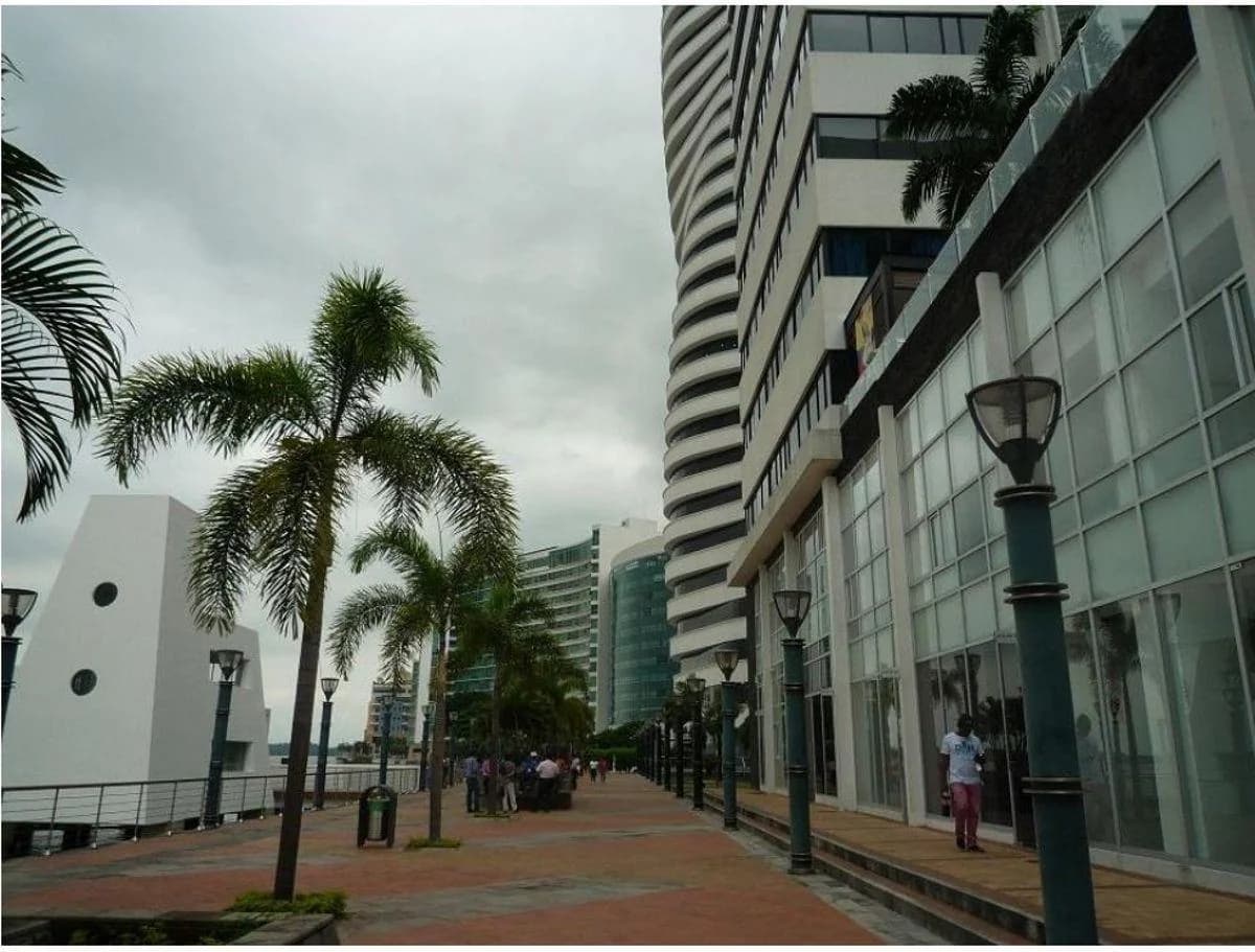 Alquiler o Venta de Oficina en Edificio Bellini con Vista Al Rio, Guayas — imagen 5