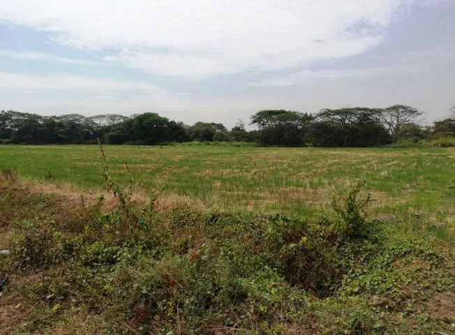Terreno en venta en Cantón Daule, Guayas