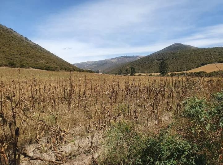 Lotes de 10 Hectáreas en Venta en Calacalí — imagen 1