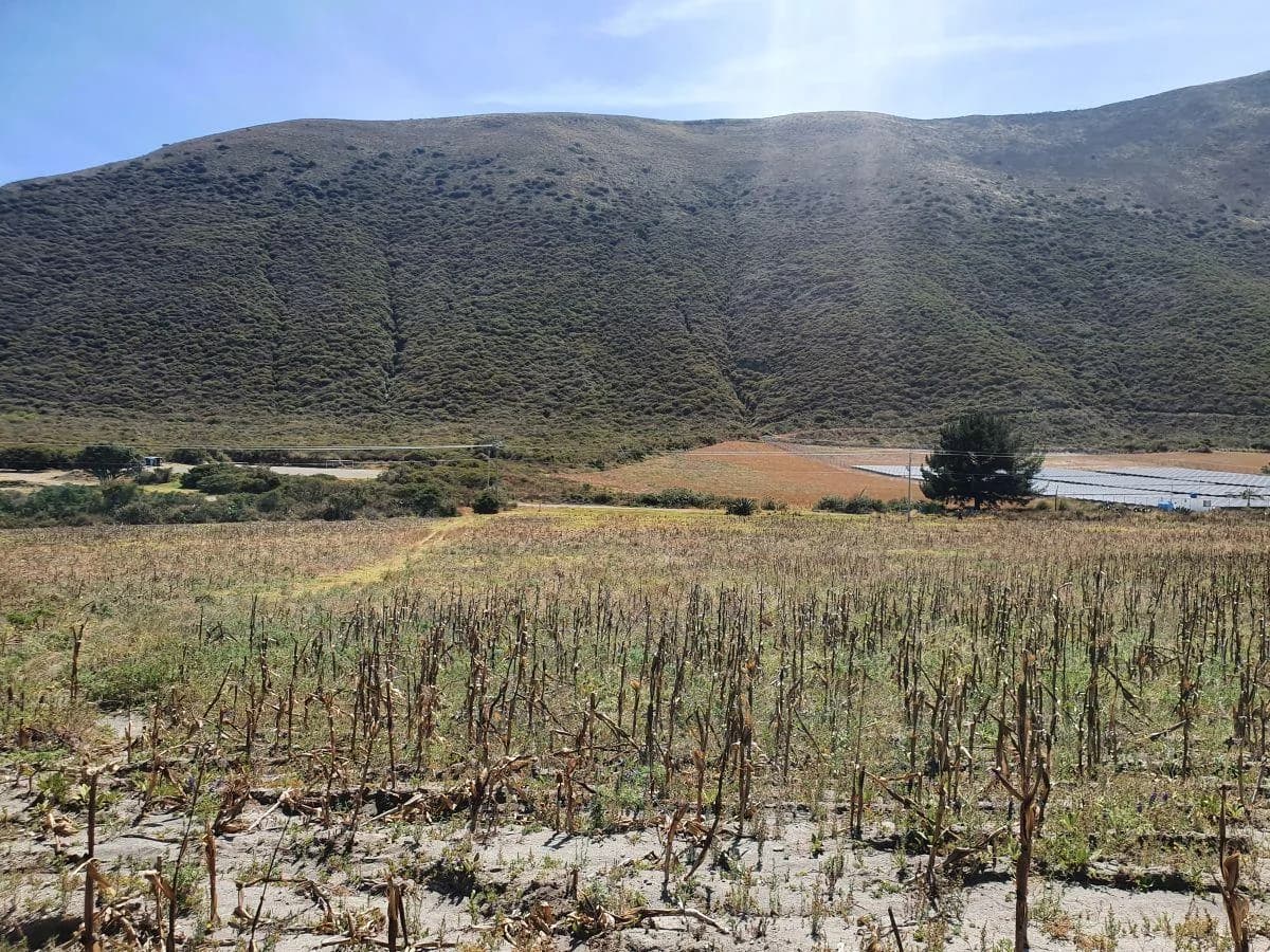 Lotes de 10 Hectáreas en Venta en Calacalí — imagen 5