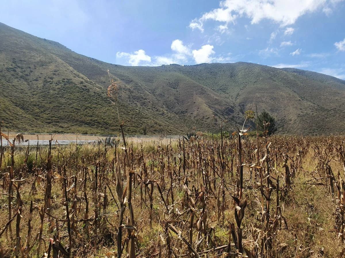 Lotes de 10 Hectáreas en Venta en Calacalí — imagen 4