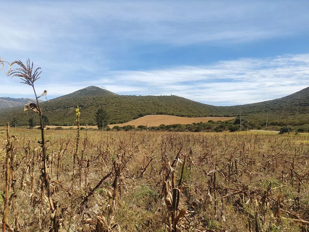 Lotes de 10 Hectáreas en Venta en Calacalí — imagen 3
