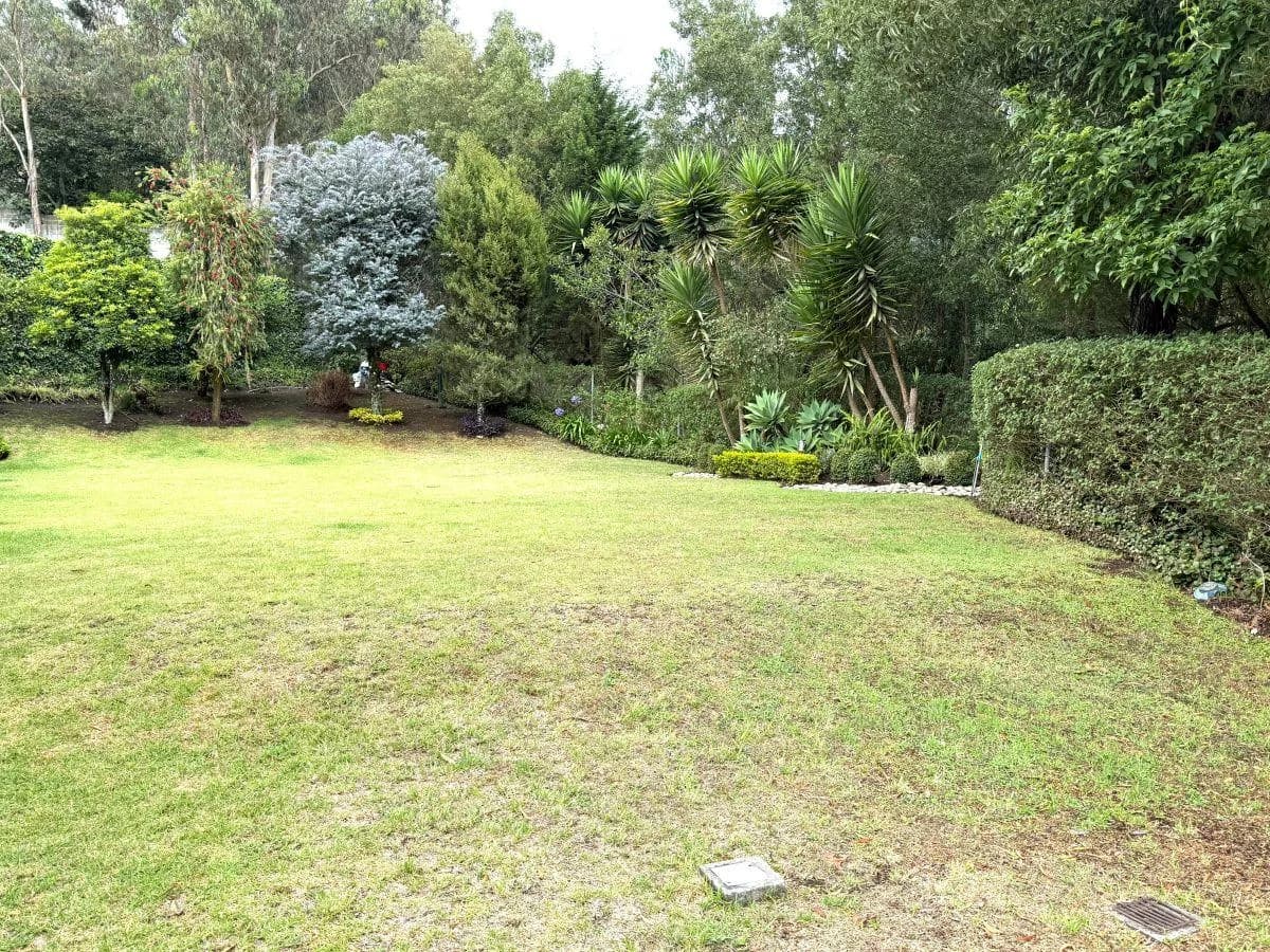 Casa Hermosa 5 Dorm. en Venta, Jardín Precioso — imagen 3
