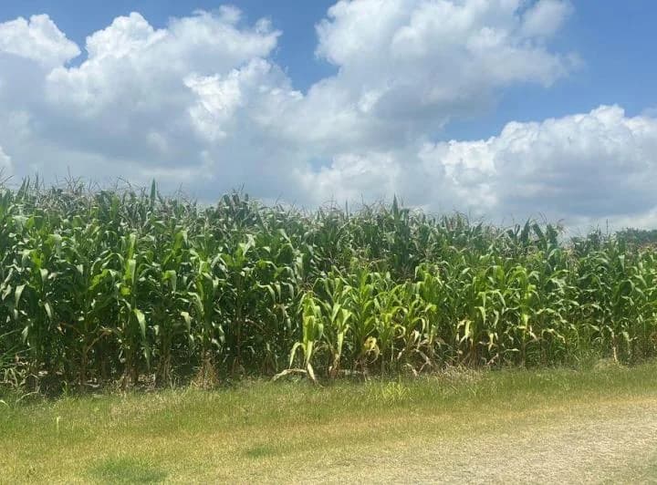 Terreno en venta en Atacames, Esmeraldas