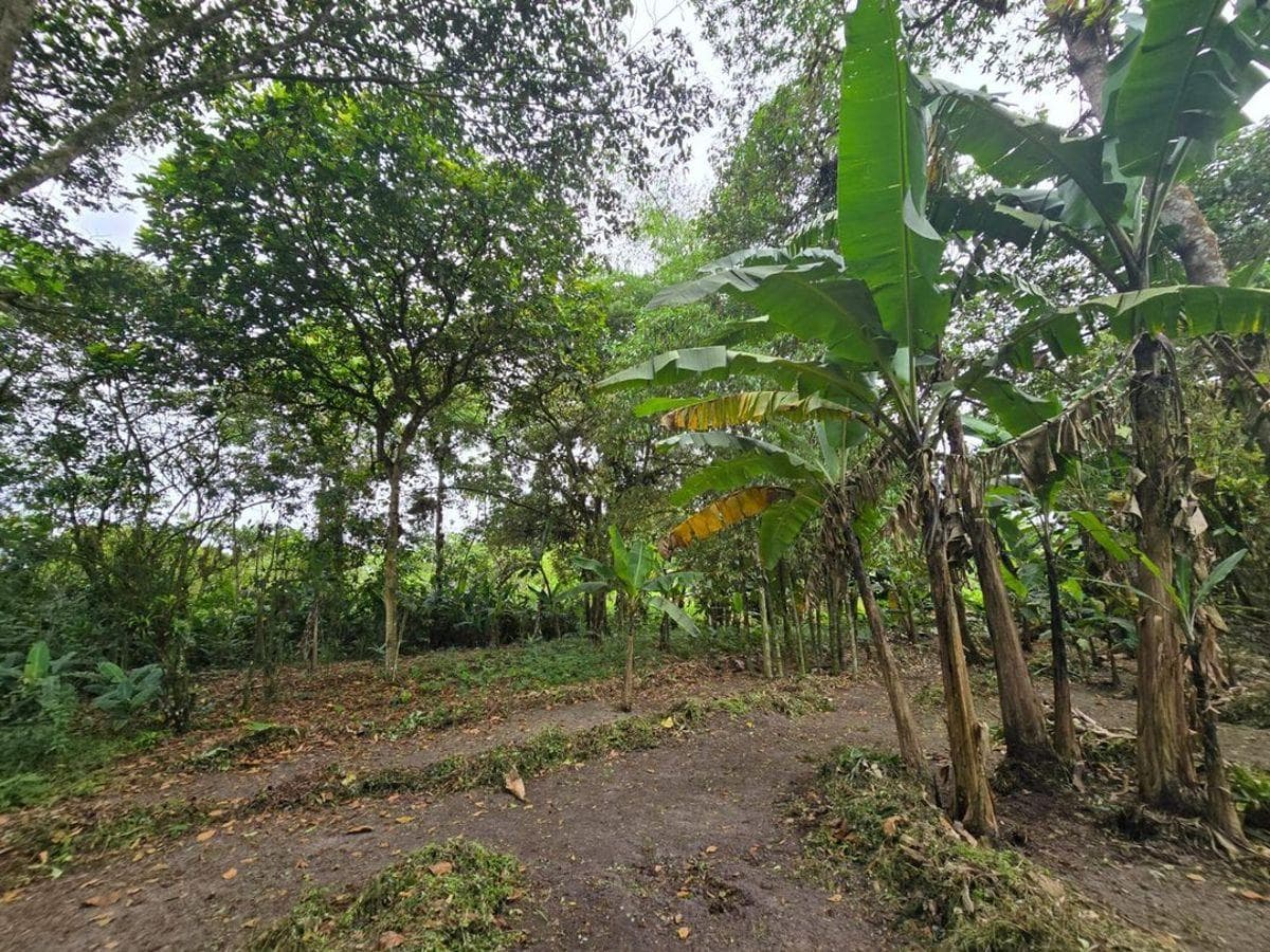 Terreno en venta en Manta, Manabí