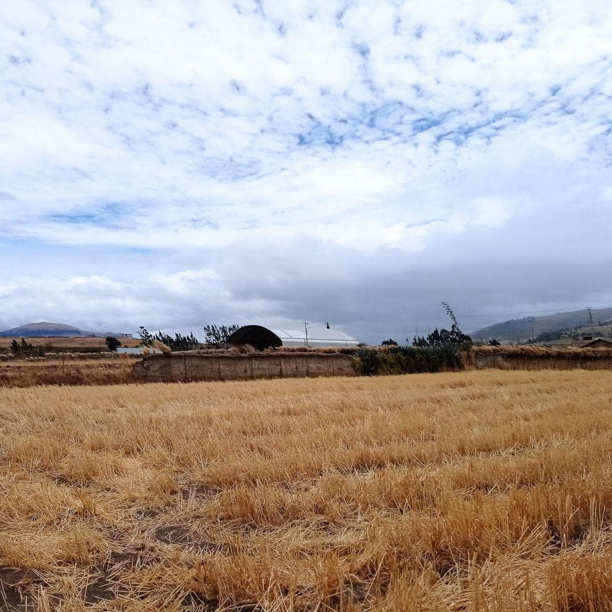 Terreno en venta en Cayambe, Pichincha