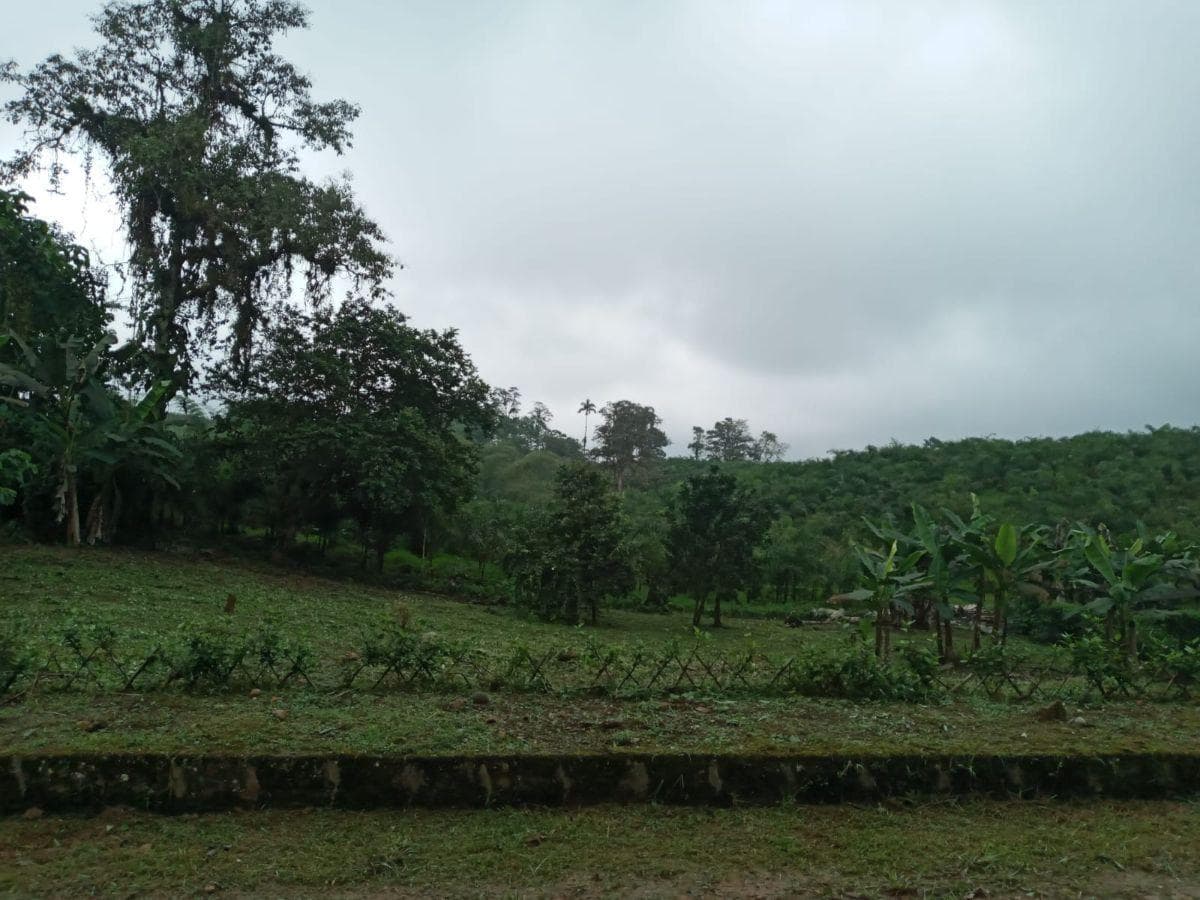Terreno en venta en Pedro Vicente Maldonado, Pichincha