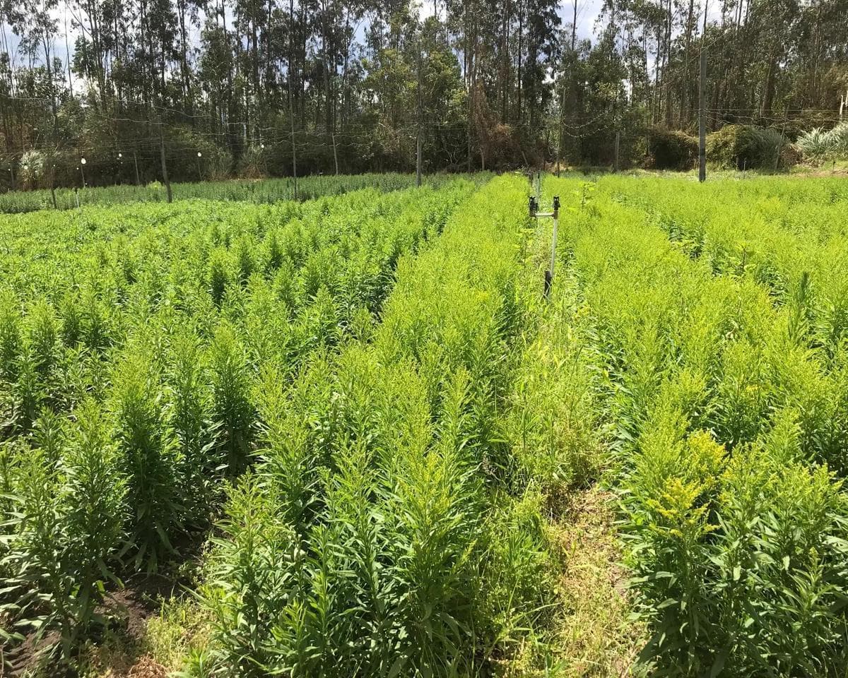 Terreno en venta en Quito, Pichincha