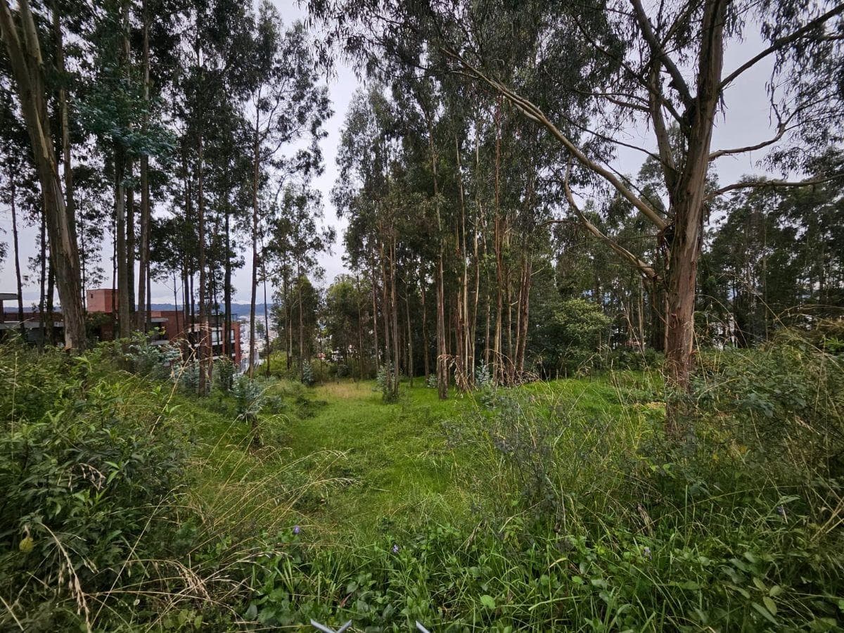 Terreno en venta en Quito, Pichincha